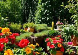 Balkonbegrünung: Die besten Pflanzen für Sonne & Schatten