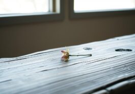 Wabi-Sabi: Die Kunst des Unperfekten